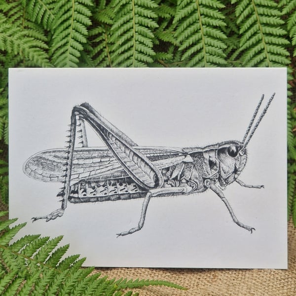Grasshopper card