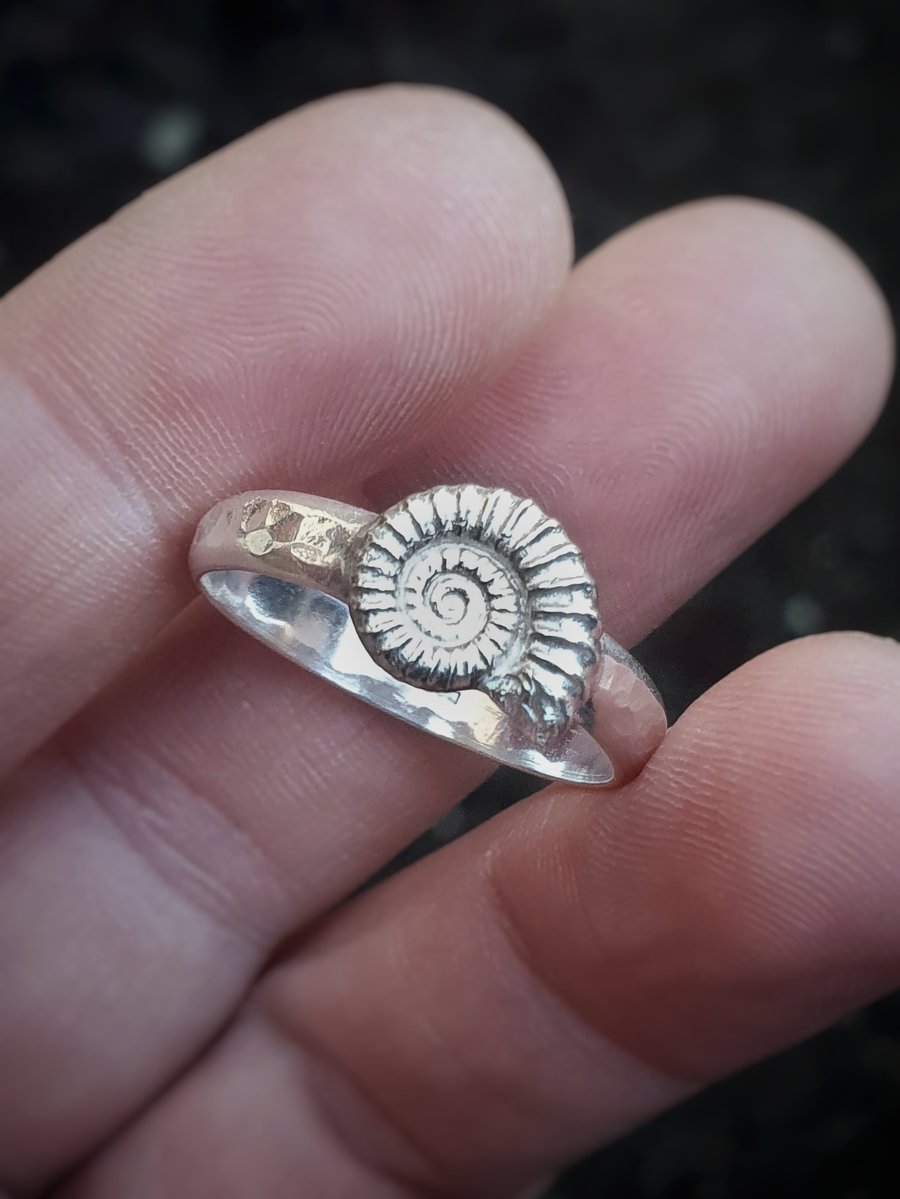 Ammonite ring size W