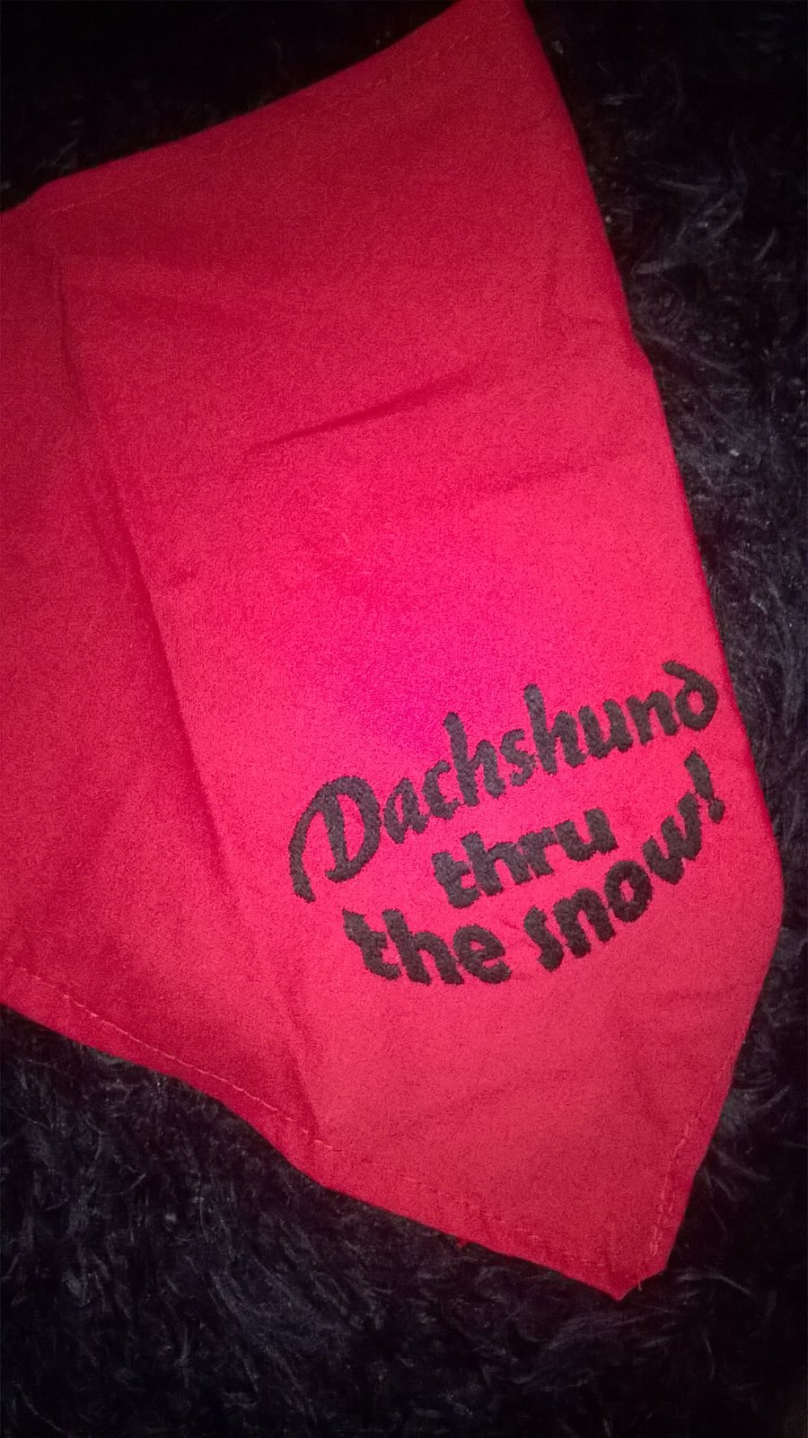 Dog bandana, Small embroidered slogan -Dachshund thru the snow