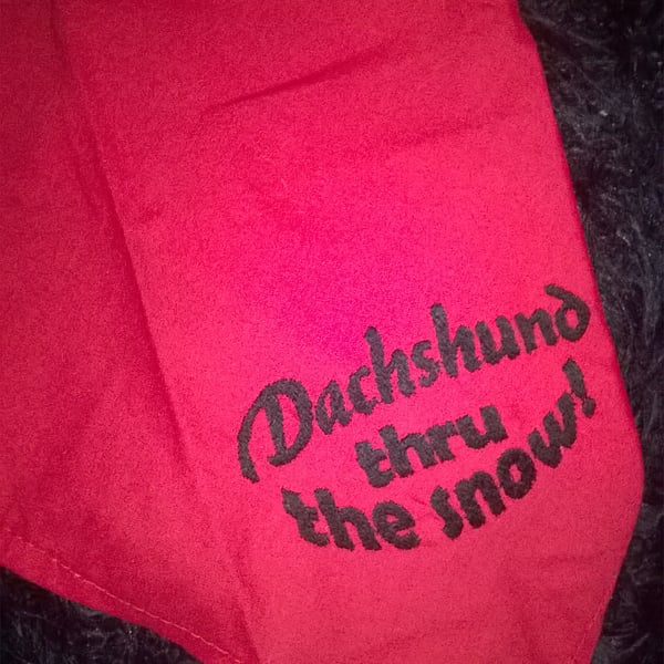 Dog bandana, Small embroidered slogan -Dachshund thru the snow
