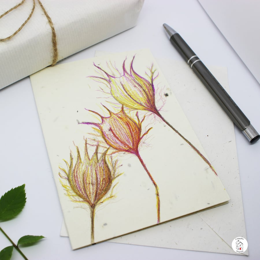 Hand Drawn Plantable Greeting Card - Seeded Paper - Nigella Seed Head