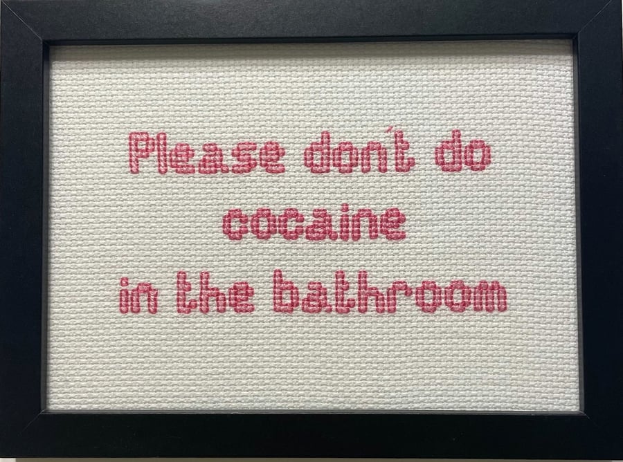 Funny Handmade Framed Cross-Stitch – Please Don't Do Cocaine in the Bathroom 