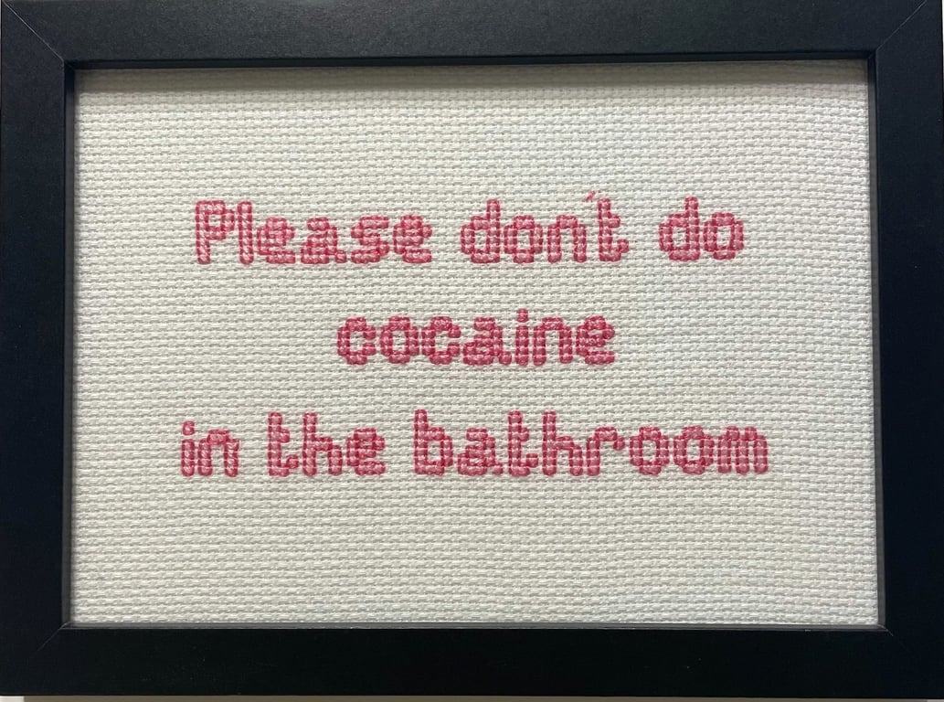 Funny Handmade Framed Cross-Stitch – Please Don't Do Cocaine in the Bathroom 
