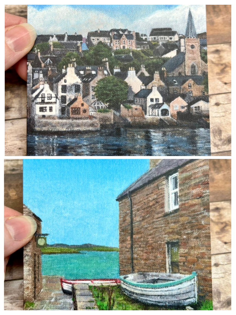 6 Blank Cards, Notecards, Claire Kirkpatrick 