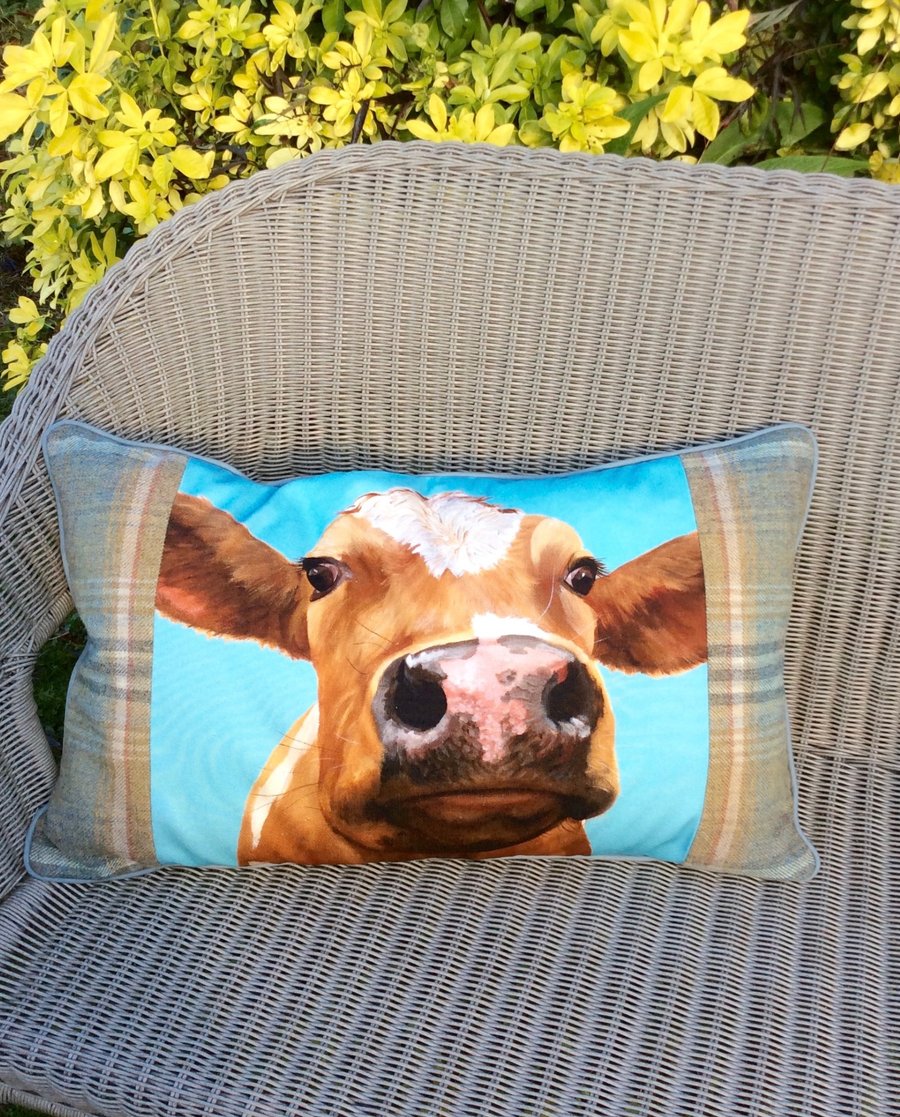 Cow cushion. Ayrshire calf pillow. FREE UK Postage. Scatter cushion.