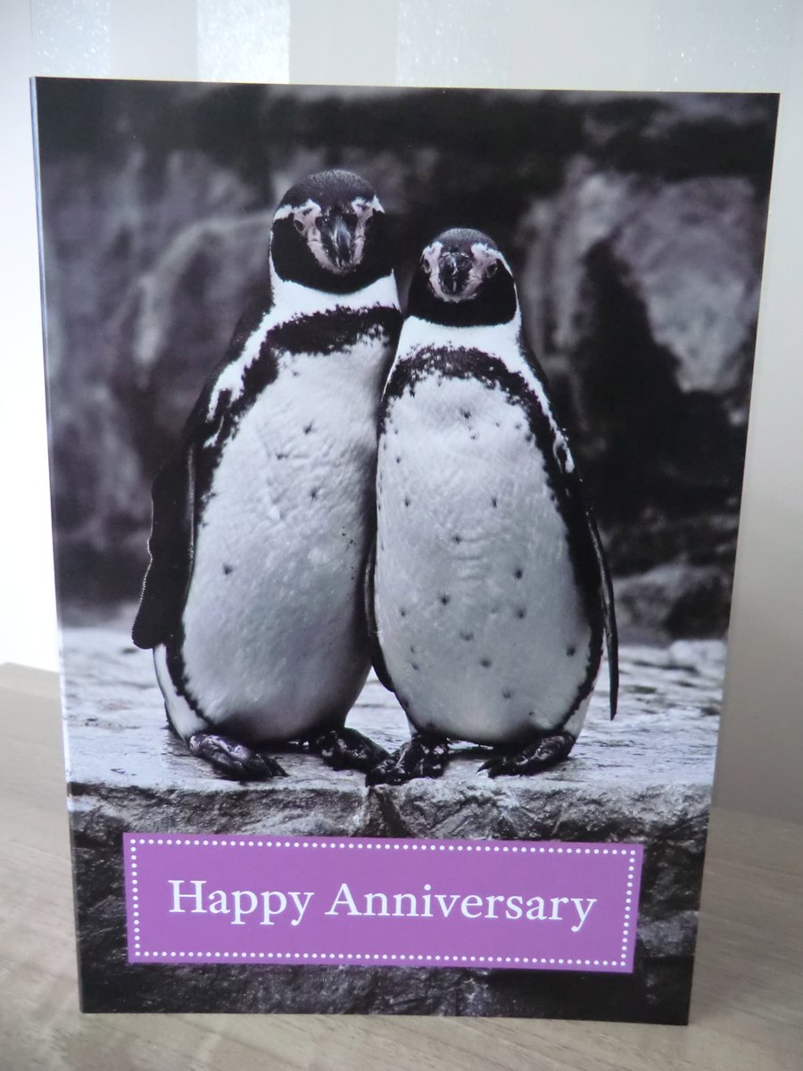 Happy Anniversary Card Cute Penguin Couple A5 For Men or Women - Love Birds