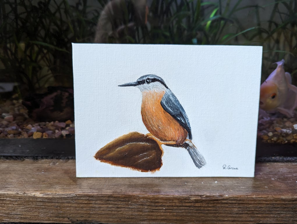 Nuthatch Bird Painting (with hanger)