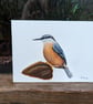 Nuthatch Bird Acrylic Painting - Image 1