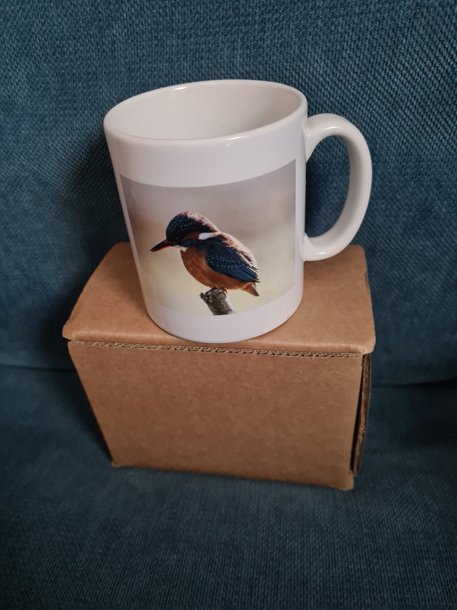 Kingfisher Mug