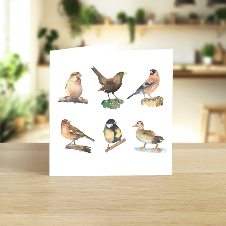 International Women's Day 6 female birds greeting card (blank)