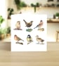 International Women's Day 6 female birds greetings card