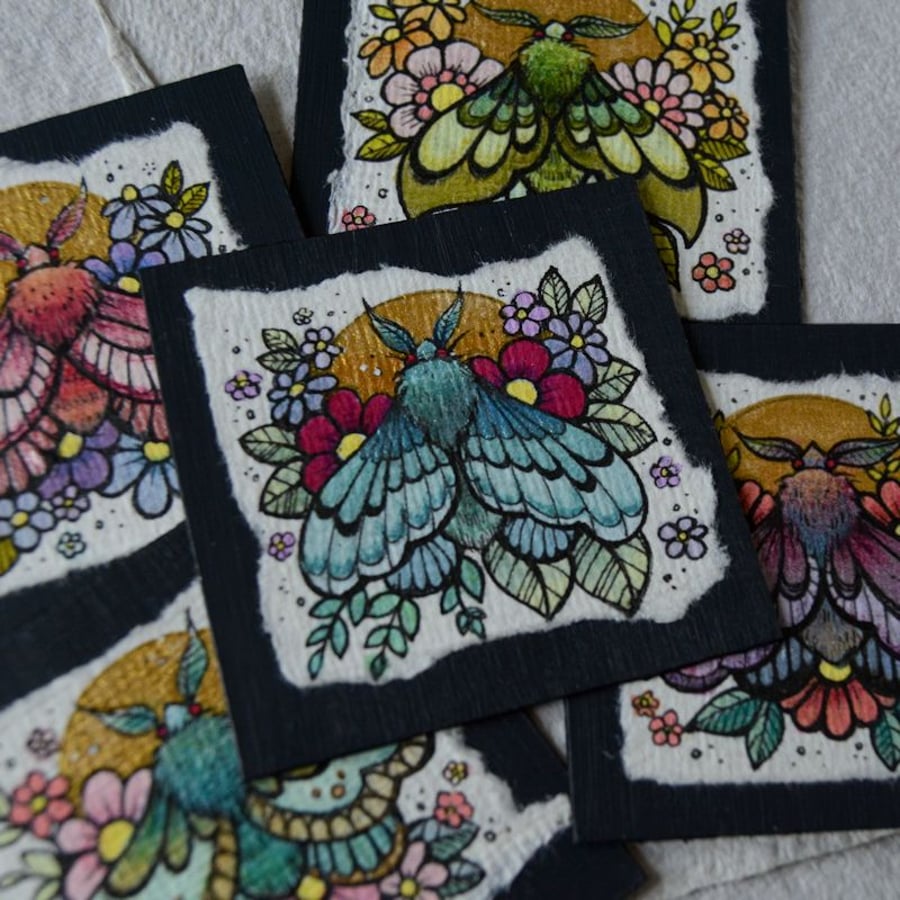 mini midsummer moth - original twinchie