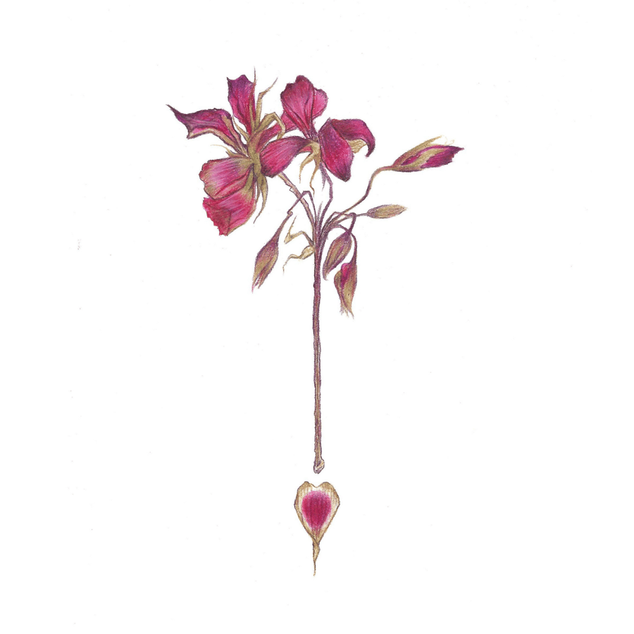 Flower Greeting Card, Thank you, Birthday, occa... - Folksy