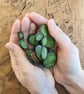 Stained Glass Cactus Succulent in Terracotta Pot, Plant Your Own Succulent Kit - Image 9