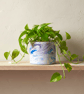 Blue, Lilac and Purple Plant Pot - Marbled Large Round Planter - Image 3
