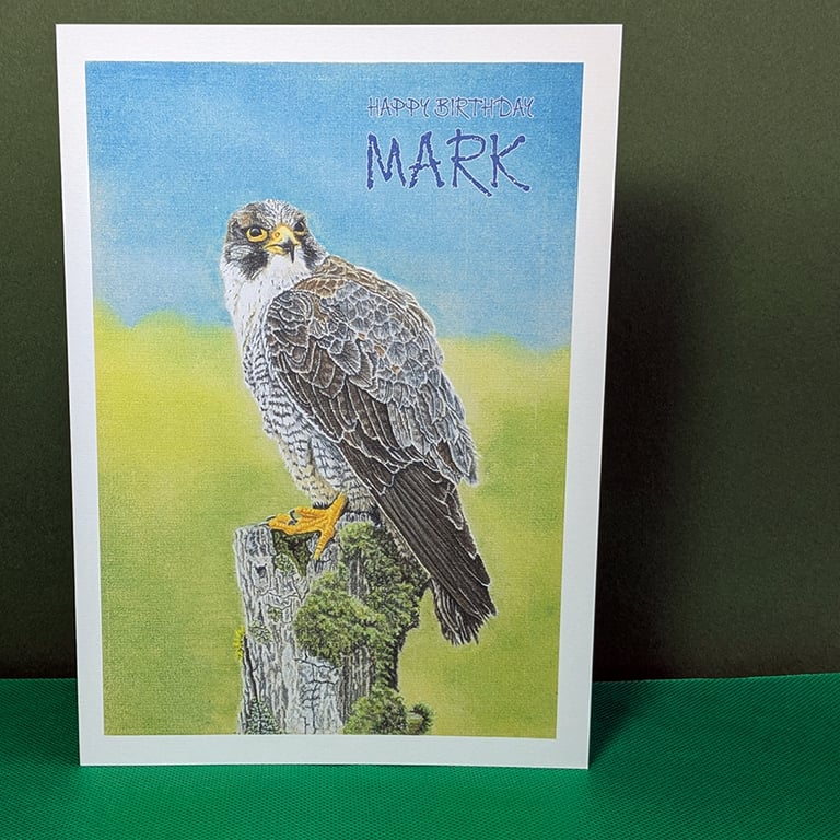Peregrine Falcon Art Card: Blank or Personalised A5-Size Greetings Card