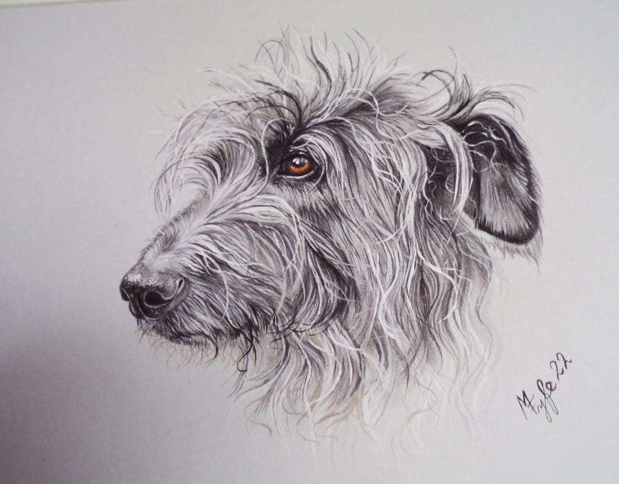 Giclee print of Lurcher