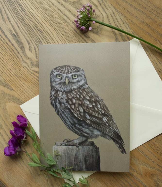 Little Owl Greetings Card British Wildlife Art, Bird Lover Gift