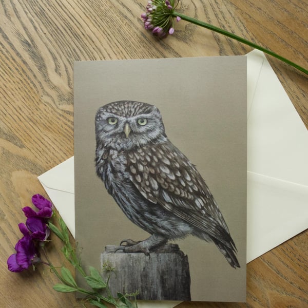 Little Owl Greetings Card British Wildlife Art, Bird Lover Gift