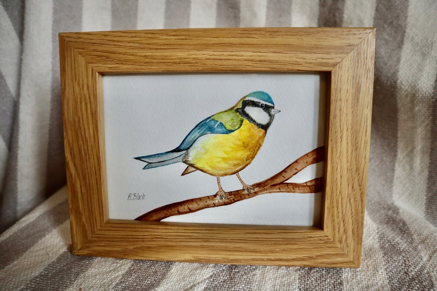 Bluetit painting - Framed