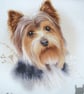 Dachshund, Yorkie, Maltese, long haired Dachshund portrait cushion - Image 4