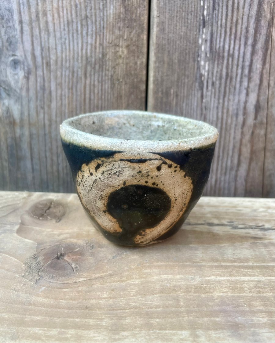 Nomad: The Double Enso Cup