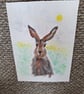 Woodland rabbit suttle background  - Image 1