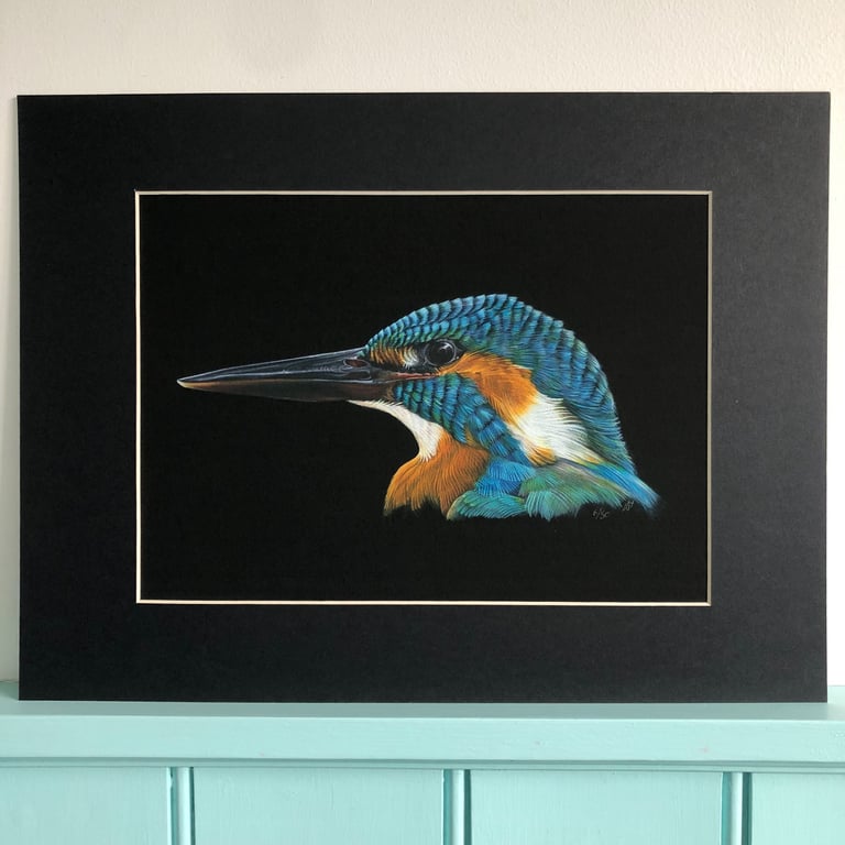 'Kingfisher Portrait 1' a limited edition, mounted, Giclee print of a kingfisher
