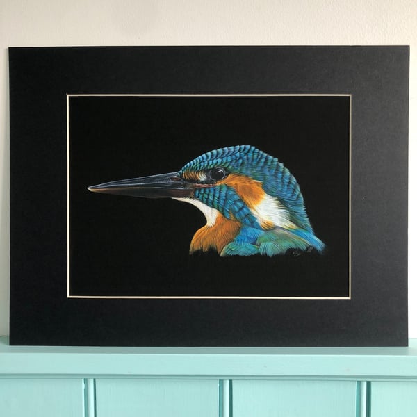 'Kingfisher Portrait 1' a limited edition, mounted, Giclee print of a kingfisher