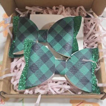 Handmade Hair Bow - Twin Pack