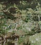 Silver Birches, Ancient Woodland in full leaf, original painting of trees - Image 3
