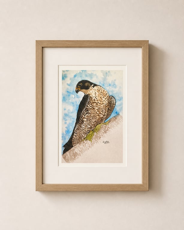 Peregrine falcon - British bird of prey wall art