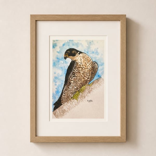 Peregrine falcon - British bird of prey wall art