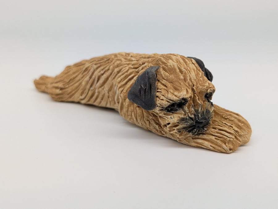 Mini Border Terrier in Splat pose