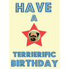 Have a Terrierific Birthday Card - Border Terrier
