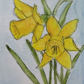 Daffodils. Original miniature watercolour, pen and ink. Flowers. Spring