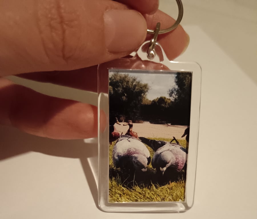 Cute Pigeons photography keyring