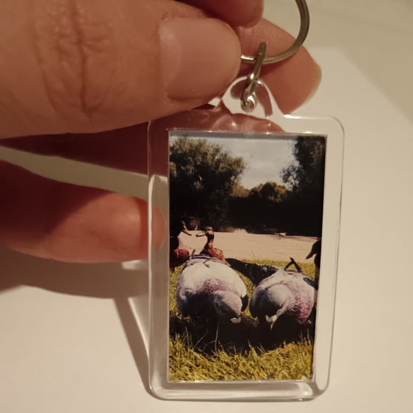 Cute Pigeons photography keyring
