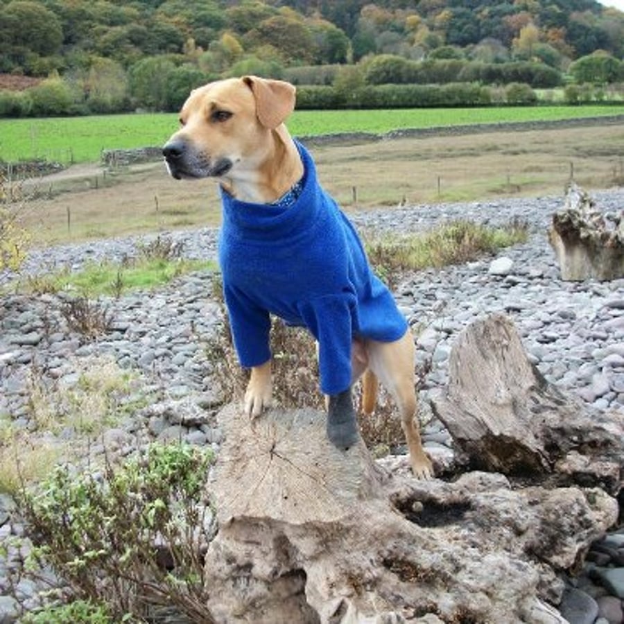Dog sweater fleece, bespoke Large - suitable for staffy, slim labs etc