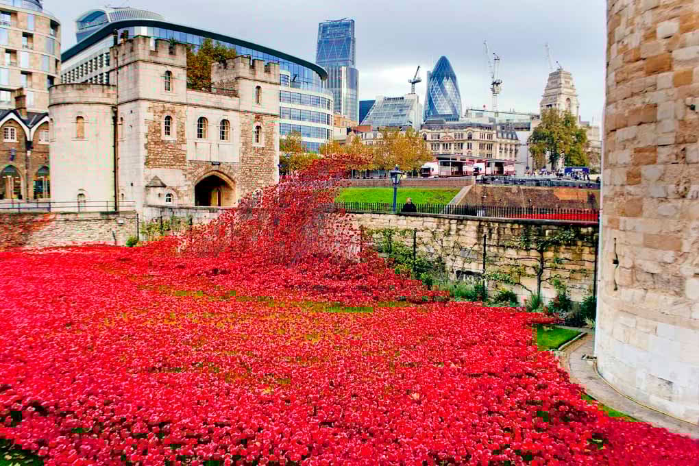 Tower Of London Poppies Red Poppy Photograph Print