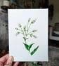 Bladder Campion Acrylic Painting  - Image 2