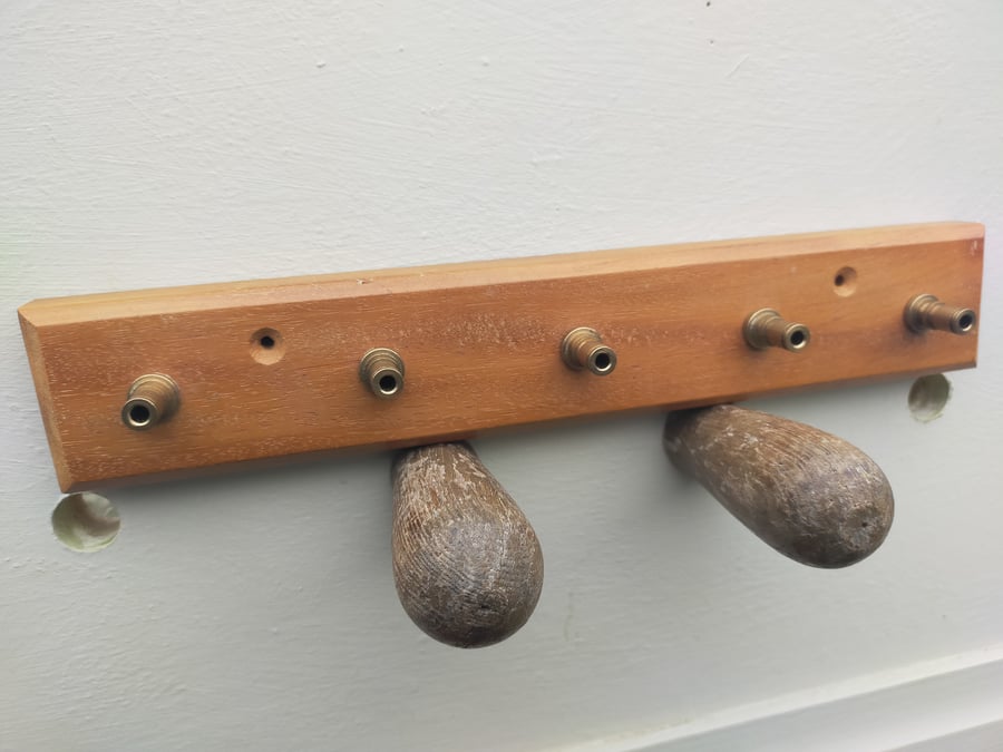 Mahogany and Brass Utensil or Key Rack