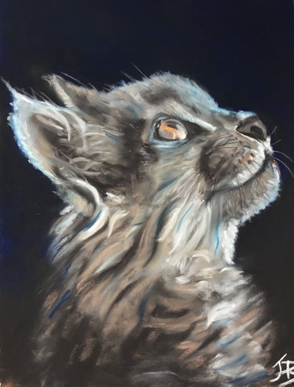 Purr-fect giclee print of 'Upward Glance' a cat painting by artist Janet Bird