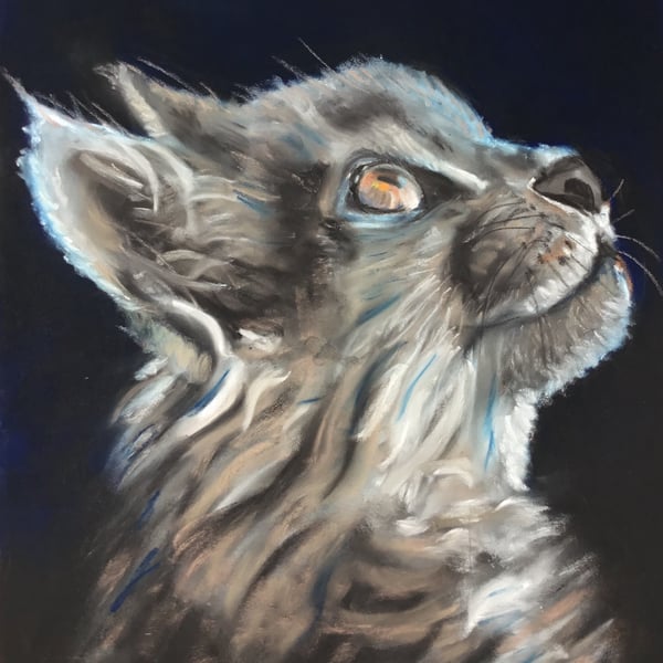 Purr-fect giclee print of 'Upward Glance' a cat painting by artist Janet Bird