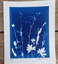 Cyanotype Botanical Print No. 9 - Image 2
