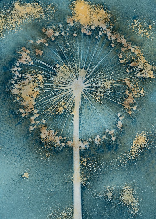 Gold Allium Cyanotype Card