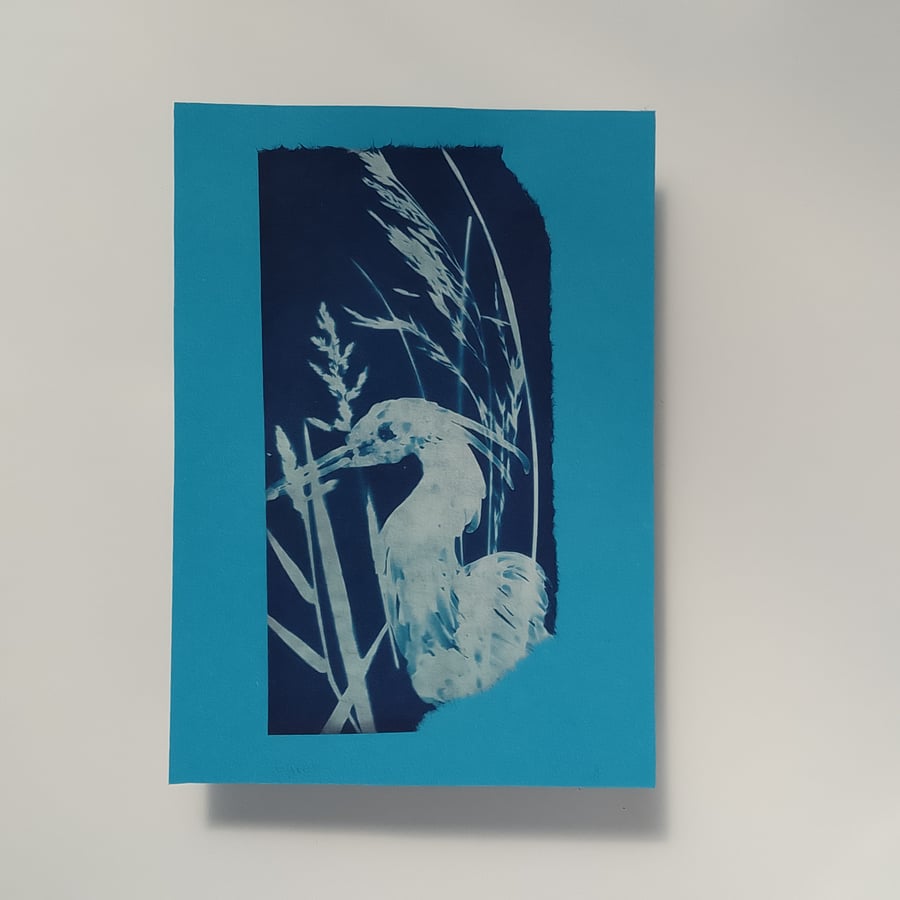 Egret original cyanotype 