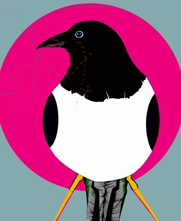 Pink Moon Magpie A3