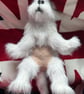 White as snow West Highland Puppy - Image 3