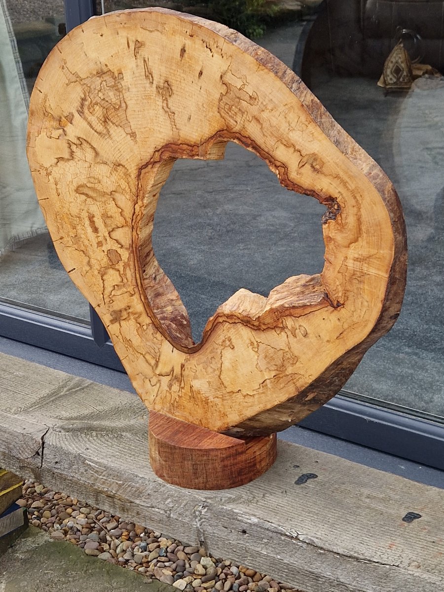 Handcrafted Hollow Elm Tree Slice Mounted on Solid Wood. Approx. 60cm diameter